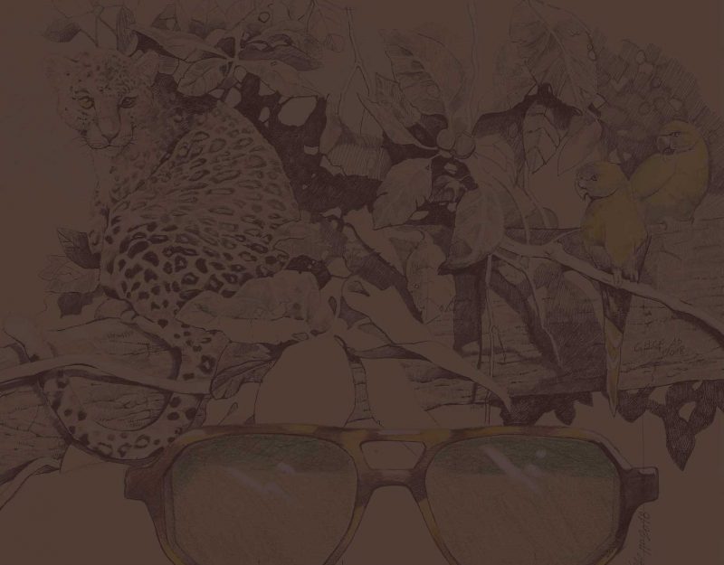 Premium Wooden Polarized Sunglasses For Men & Women Cut Edge Metal